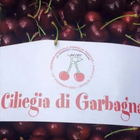 Jolie Petite Maison Chez Barbara Vakantiehuis