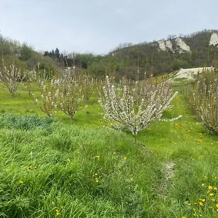 Jolie Petite Maison Chez Barbara Σπίτι διακοπών *