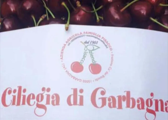 Jolie Petite Maison Chez Barbara Hébergement de vacances