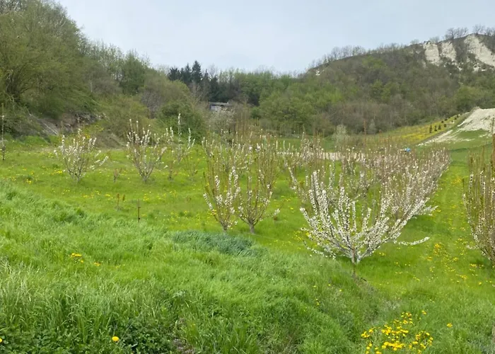 Hébergement de vacances Jolie Petite Maison Chez Barbara