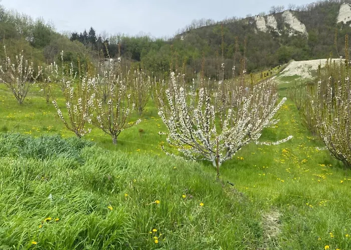 Jolie Petite Maison Chez Barbara Hébergement de vacances *