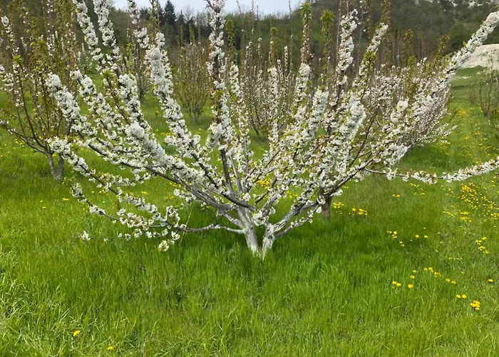Hébergement de vacances Jolie Petite Maison Chez Barbara *